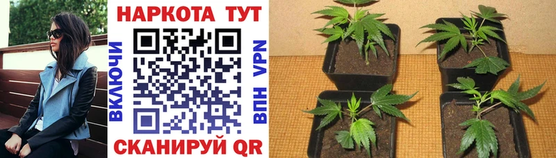 Купить Гашиш Каннабис Галлюциногенные грибы Альфа ПВП КЕТАМИН COCAIN Меф мяу мяу Соль-Илецк