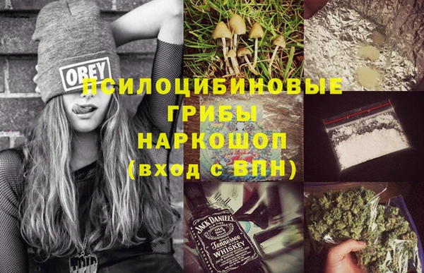 мяу мяу мука Пестово