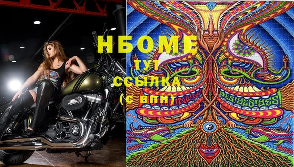 гидропоника Пересвет