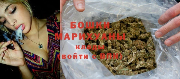 гидропоника Пересвет