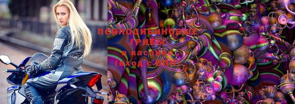 гидропоника Пересвет
