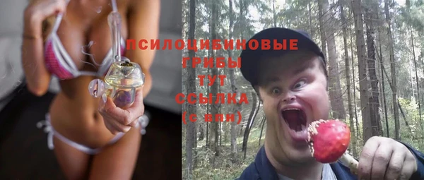 мяу мяу мука Пестово