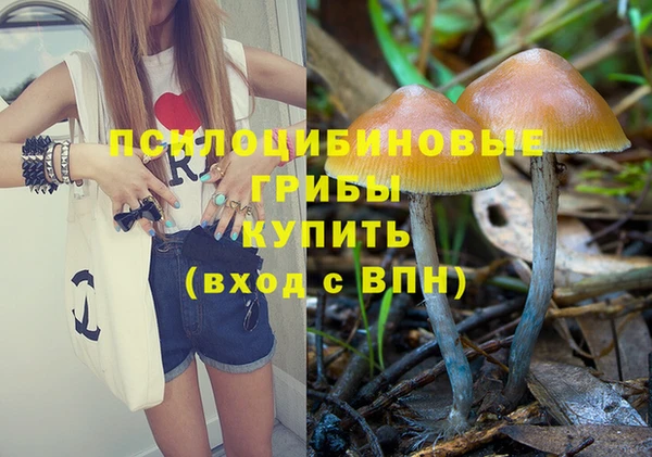 гидропоника Пересвет