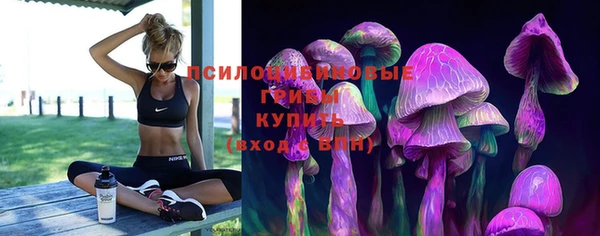 гидропоника Пересвет